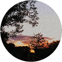 Paula Palma Abadía profile picture