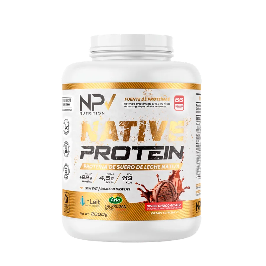Native Protein Swiss Choco Gelato, chocolate suizo